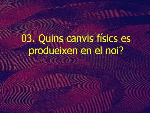 EC1 11 Canvis físics noi